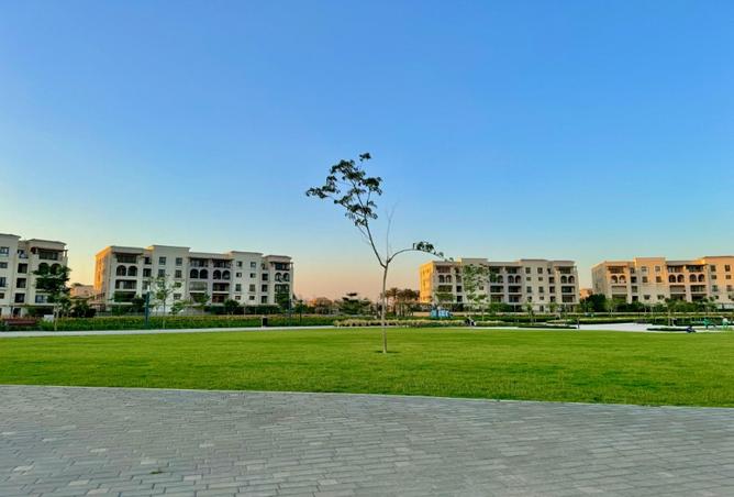 7967383 - صورة العقار 2