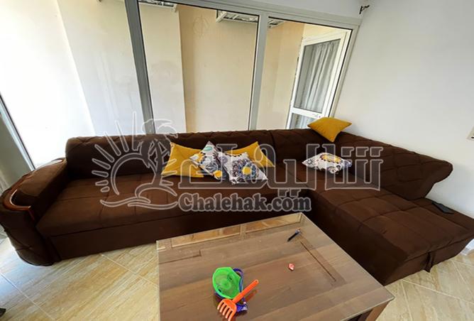 8084379 - Property Image 3