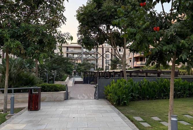 8459134 - Property Image 2