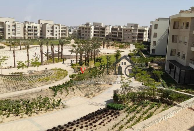 8412418 - صورة العقار 3