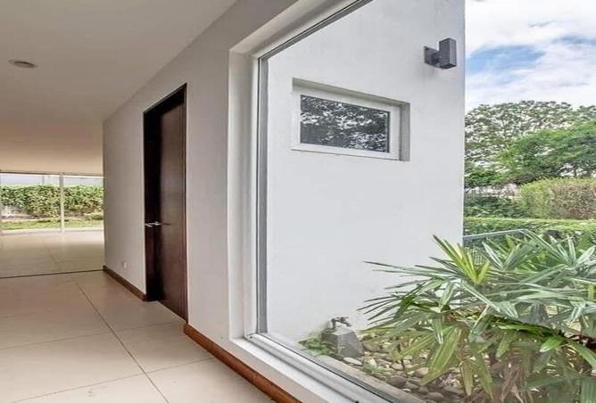 8195879 - Property Image 3