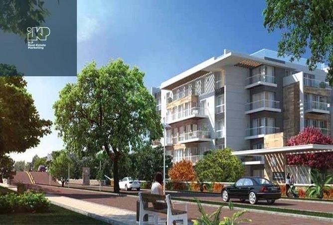8010895 - Property Image 3