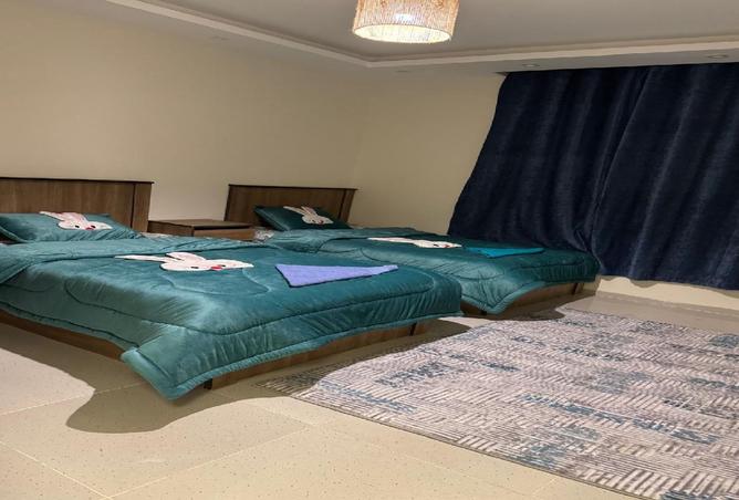 8297072 - Property Image 3