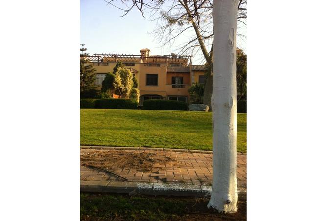 8163666 - الصورة الرئيسية للعقار