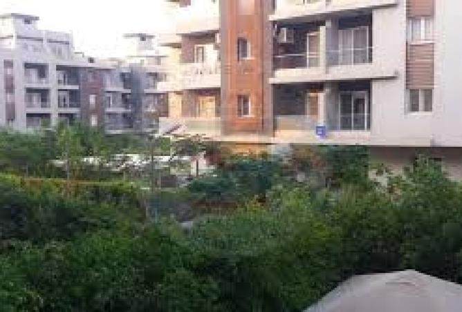 8384248 - Property Image 2