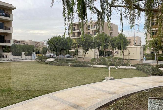 8204197 - صورة العقار 2