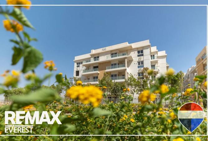 8410542 - صورة العقار 3