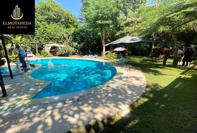 8211793 - Property Image 3