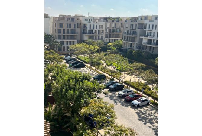 8433883 - صورة العقار 3