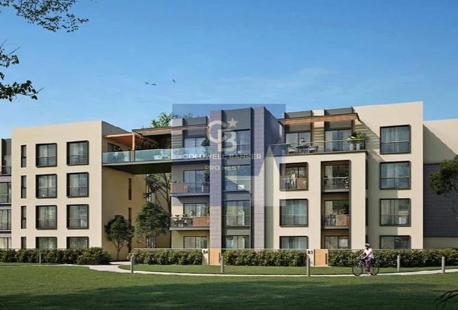 7980392 - Property Image 2