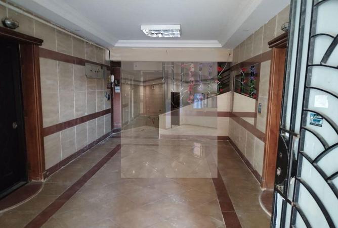 8161388 - Property Image 2