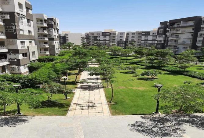 8174109 - صورة العقار 2