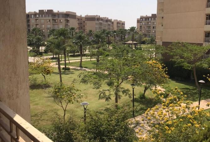 8115221 - صورة العقار 2