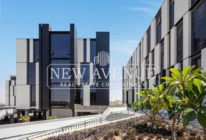 8149924 - Property Image 3