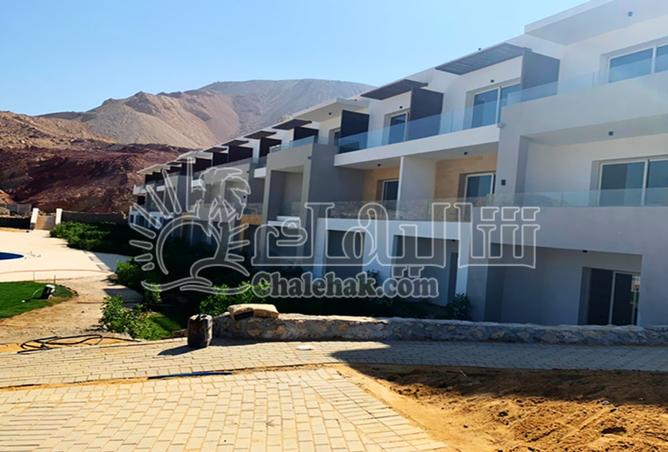 8037342 - صورة العقار 3
