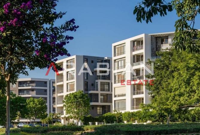 8331333 - Property Image 2