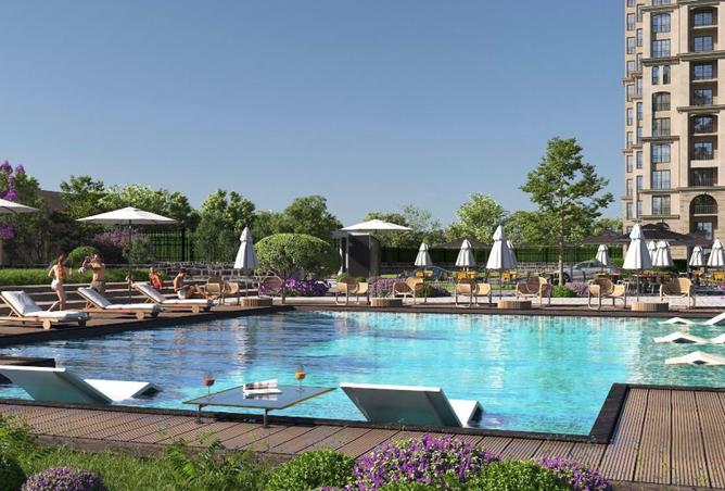 8441783 - Property Image 3