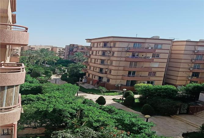 7979055 - الصورة الرئيسية للعقار