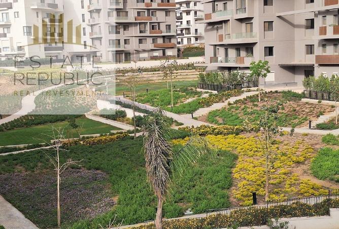 8153363 - Property Image 3