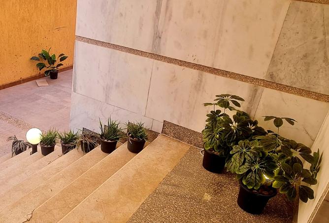 8399552 - صورة العقار 2