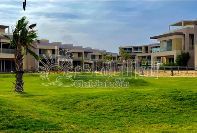 8296181 - Property Image 3