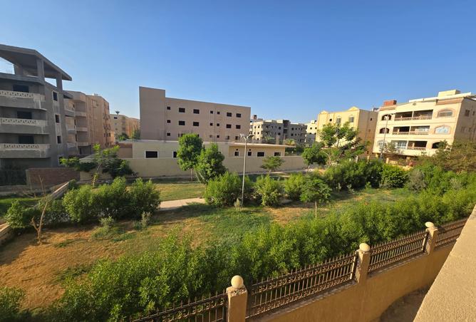 7987941 - صورة العقار 2