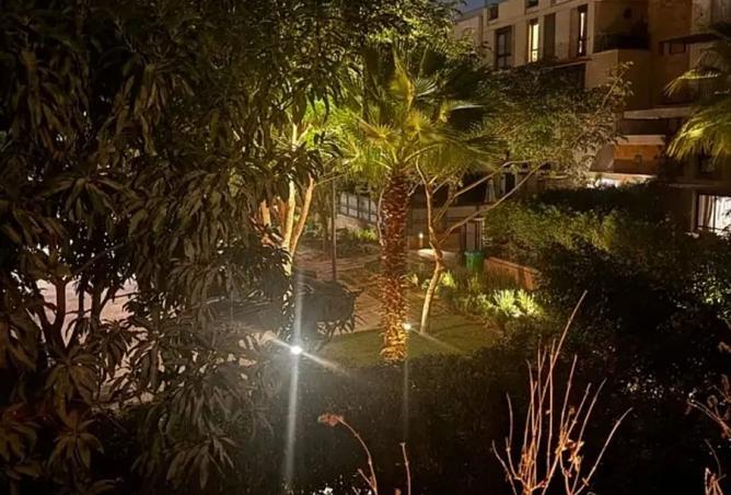 8536656 - Property Image 2