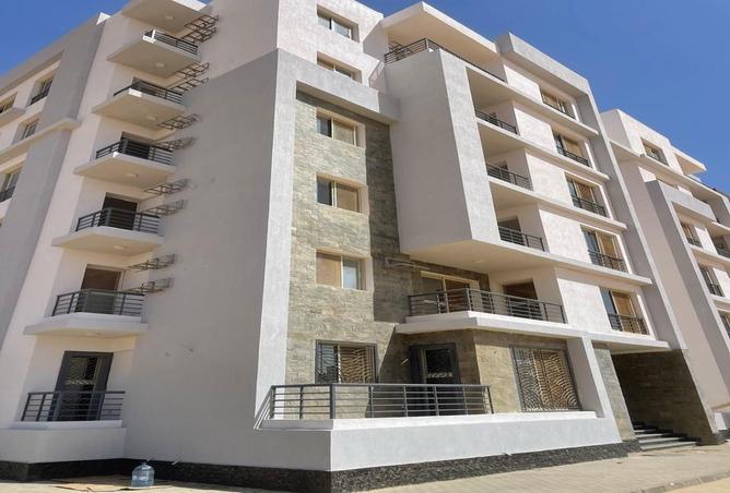 7987484 - Property Image 3