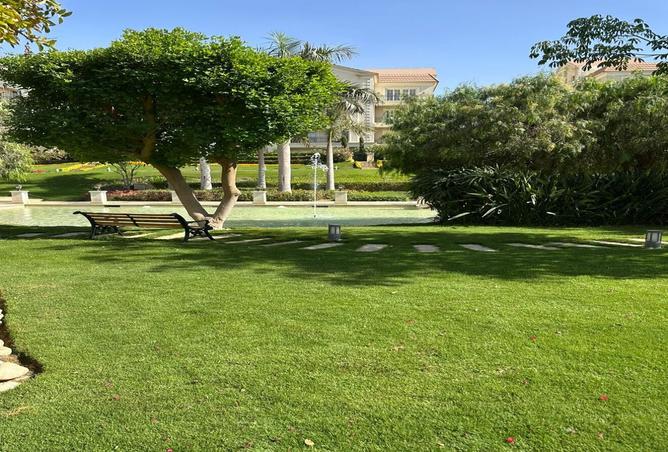 8060072 - Property Image 3