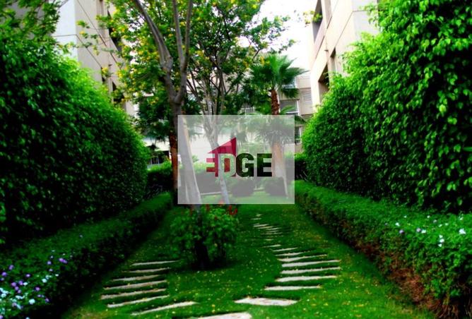 8513299 - Property Image 3