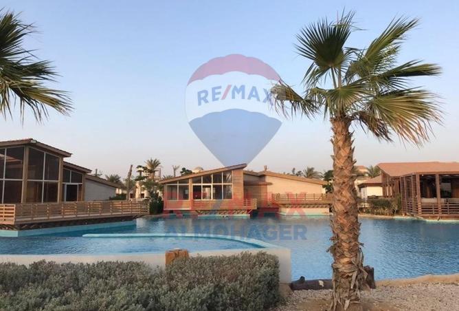 8132029 - صورة العقار 3