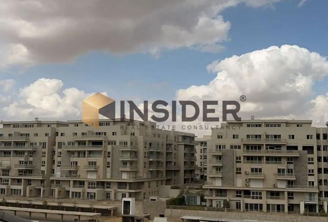 8289833 - Property Image 3