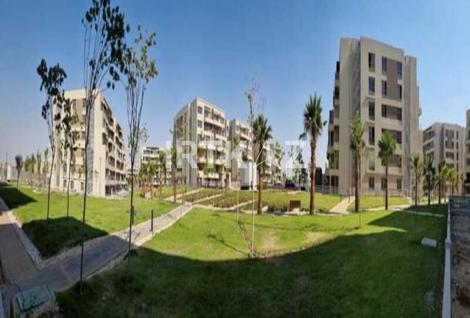 8516241 - Property Image 2