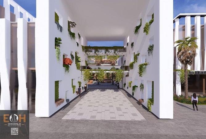 8565787 - صورة العقار 2