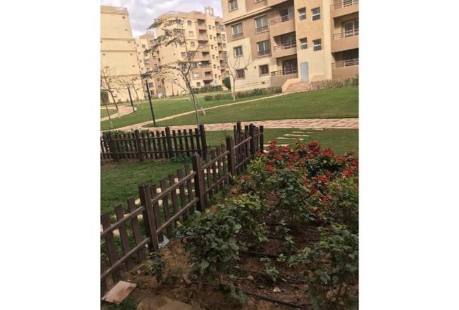 8153963 - صورة العقار 3