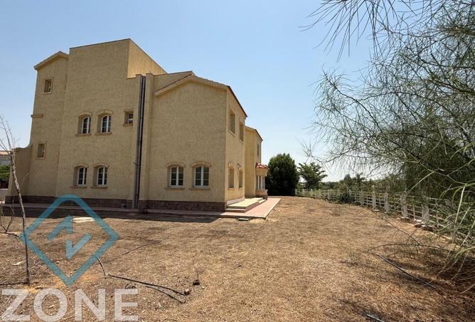 8172012 - صورة العقار 3