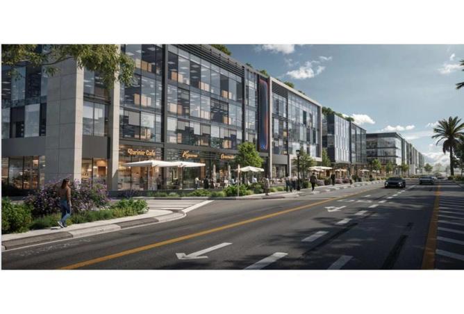 8206850 - Property Image 3