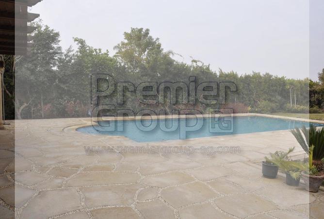 8201863 - الصورة الرئيسية للعقار