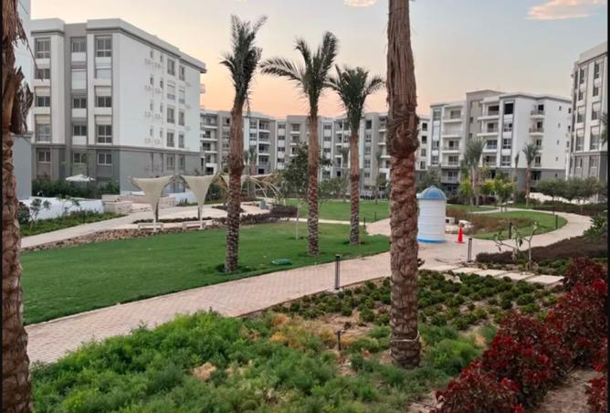 7952635 - صورة العقار 2