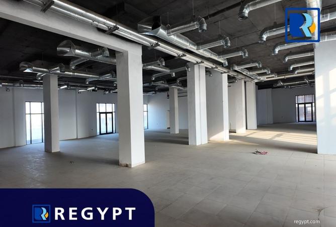 8495010 - صورة العقار 3