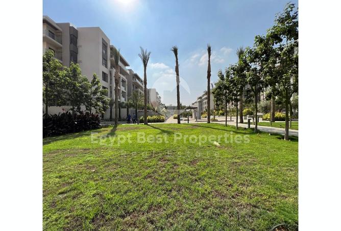 7977939 - Property Image 2