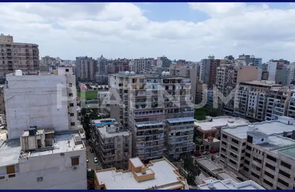 Apartment - 3 Bedrooms - 2 Bathrooms for sale in Al Ekbal St. - Laurent - Hay Sharq - Alexandria