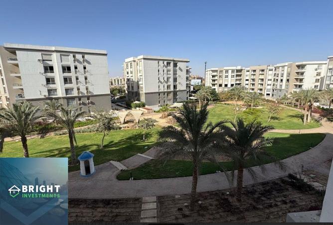 8061362 - صورة العقار 3