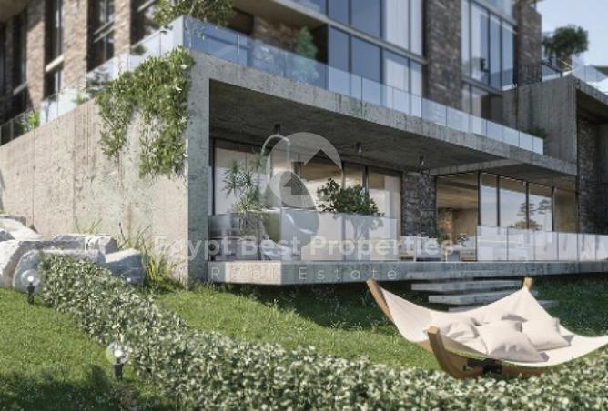 8158627 - Property Image 2