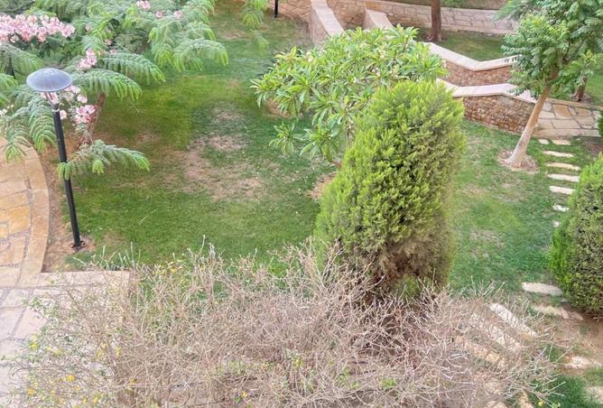 7935082 - صورة العقار 3