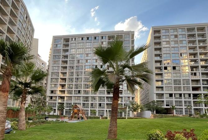8130076 - Property Image 3