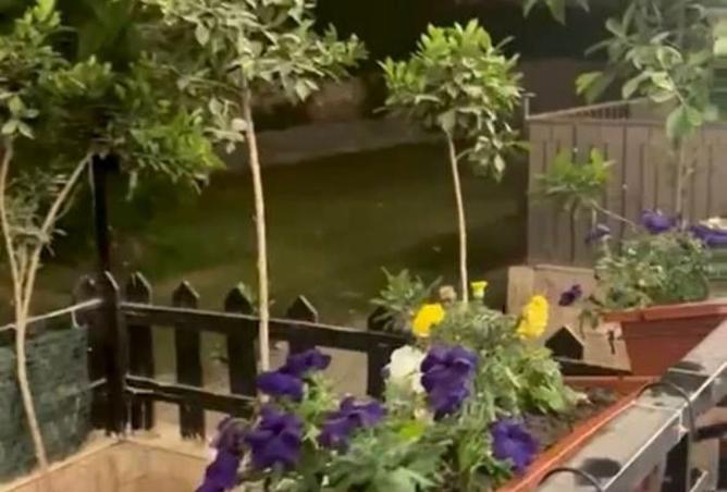 8549125 - Property Image 3