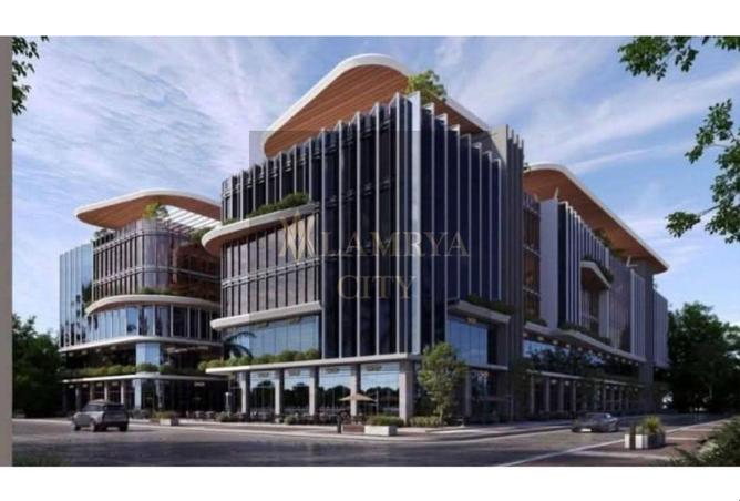 8382486 - صورة العقار 2