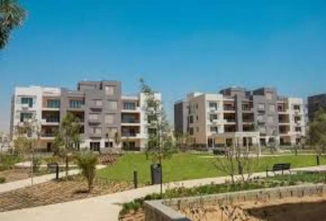 7995672 - Property Image 2