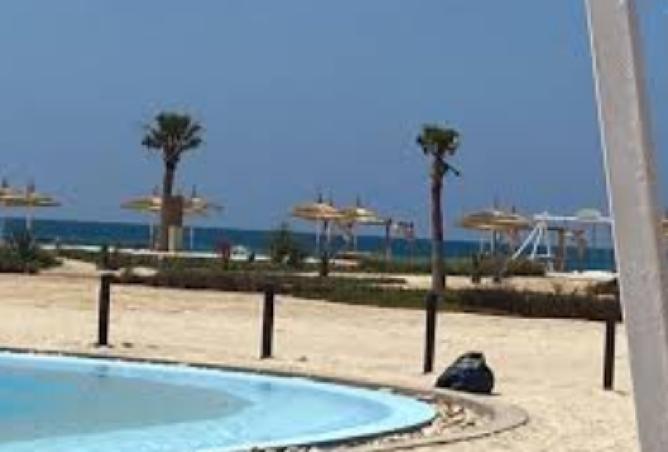 8532273 - Property Image 2